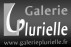 www.galerieplurielle.fr