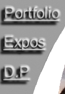 D.P